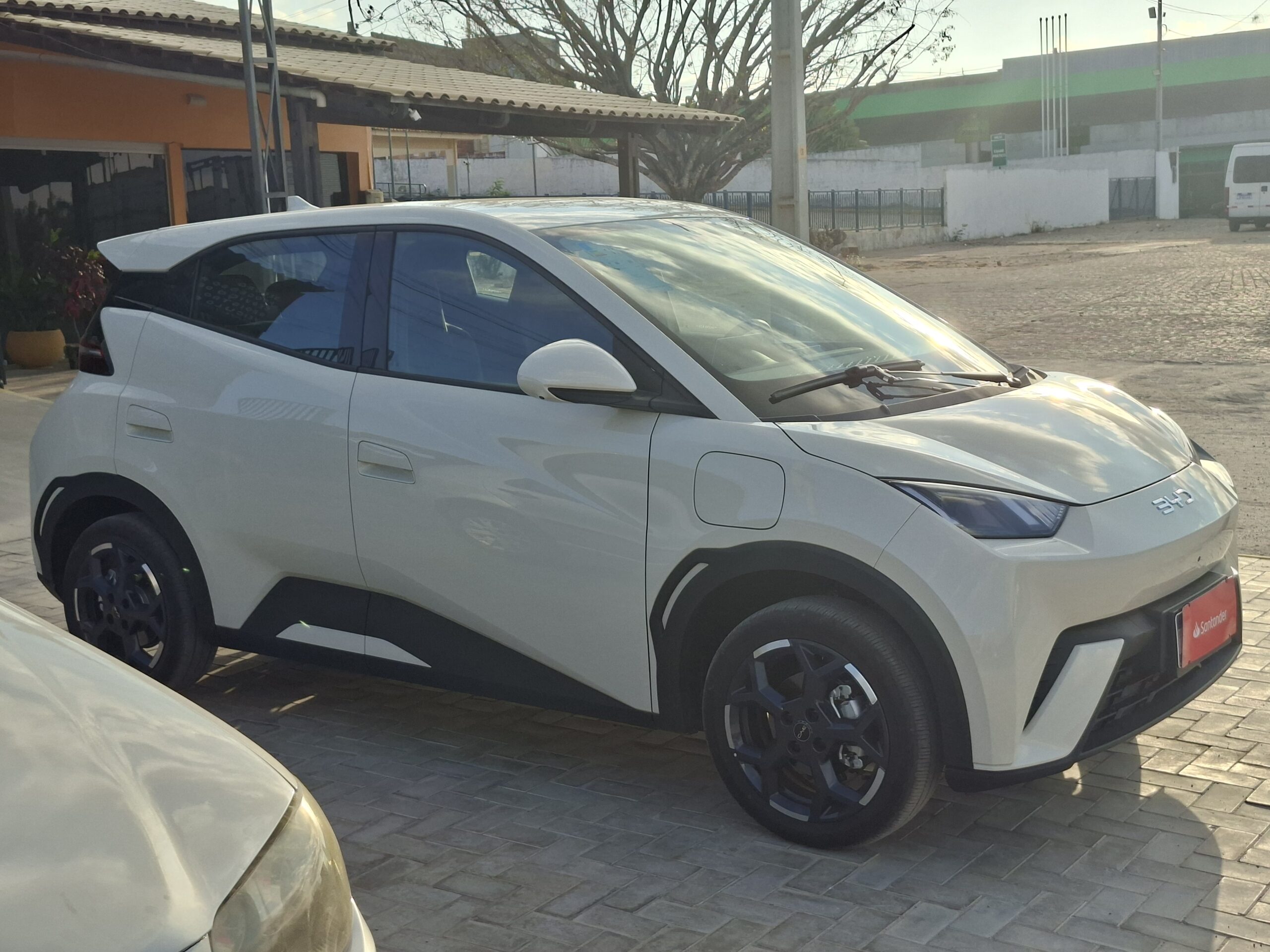 
								BYD DOLPHIN MINI full									