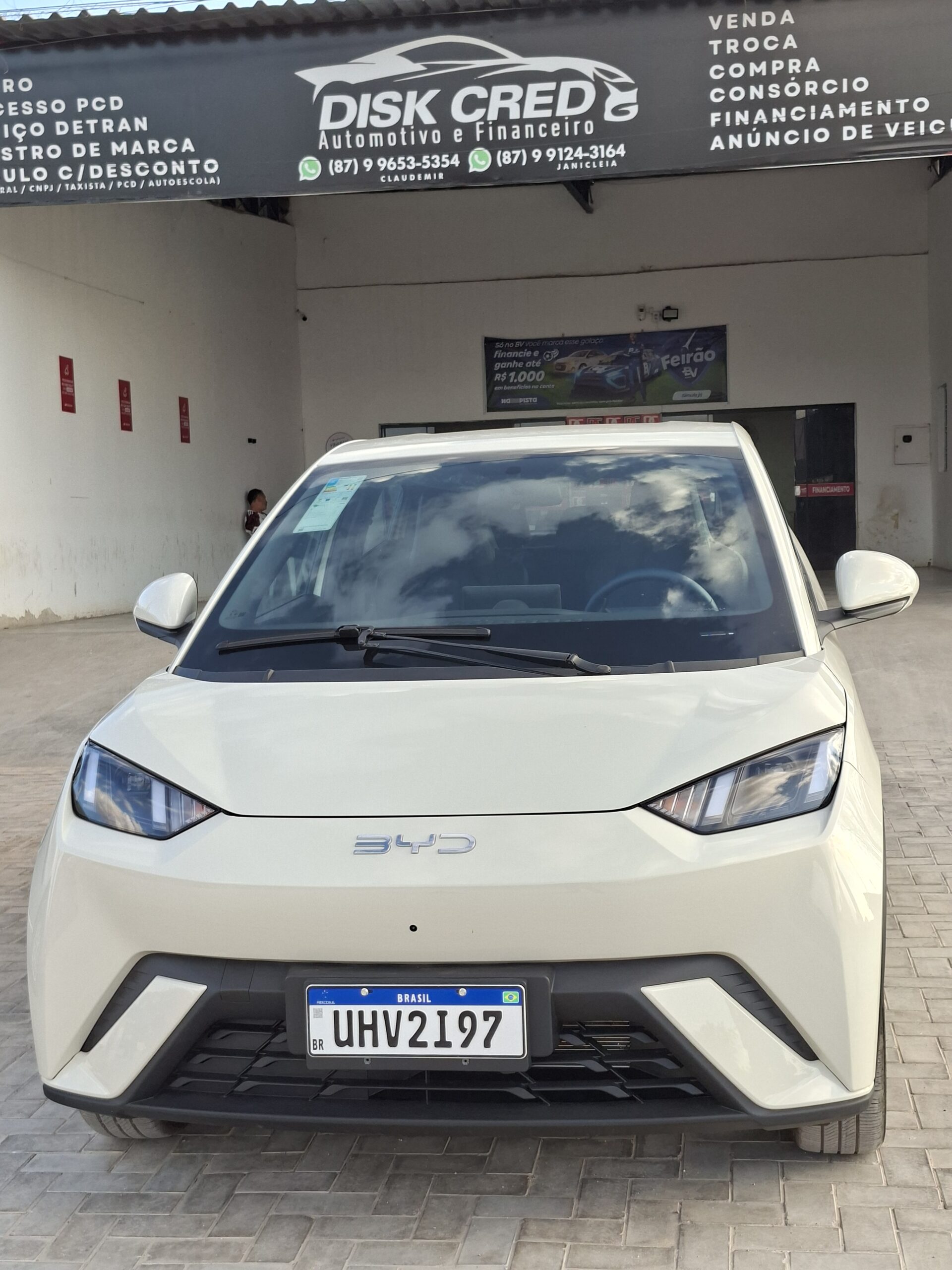 
								BYD DOLPHIN MINI full									